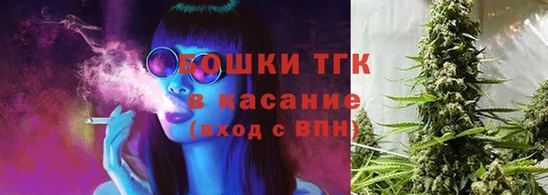 стаф Белокуриха