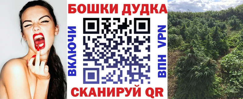 Каннабис планчик Новый Уренгой